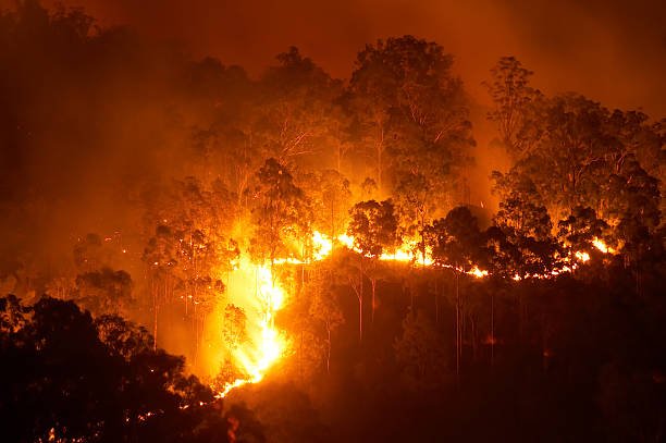 Pemerintah negara bagian Hawaii akan memberikan ganti rugi kepada korban kebakaran hutan tahun 2023