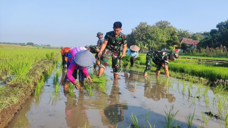 Pelaksanaan program TMMD di Kabupaten Sumenep, selain pembangunan infrastruktur (kegiatan fisik) dan non Fisik,